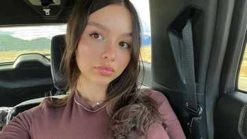 Grace Fan DeVito Net Worth